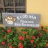 baia formosa