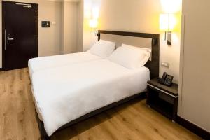 hotel leonardo da vinci