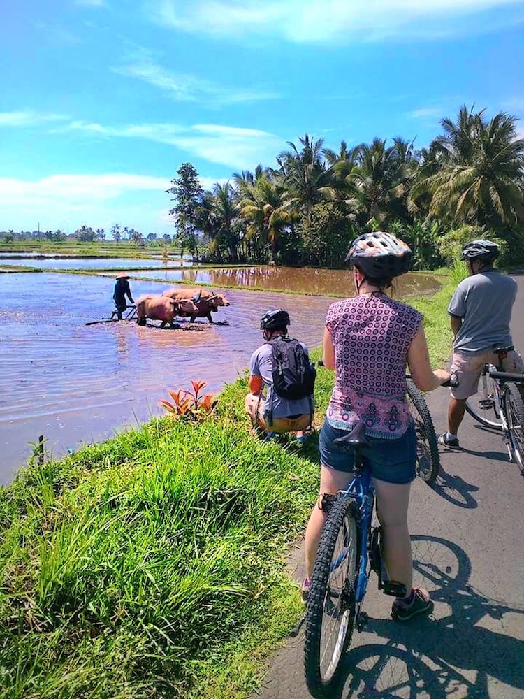 puri dajuma beach eco resort and spa