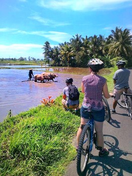 puri dajuma beach eco resort and spa