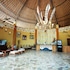 mara river safari lodge