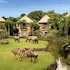 mara river safari lodge