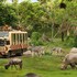 mara river safari lodge