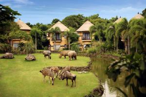 Mara River Safari Lodge,Denpasar>>Bali,4 star