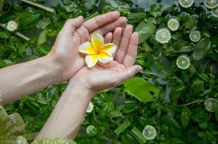 villa air bali boutique resort