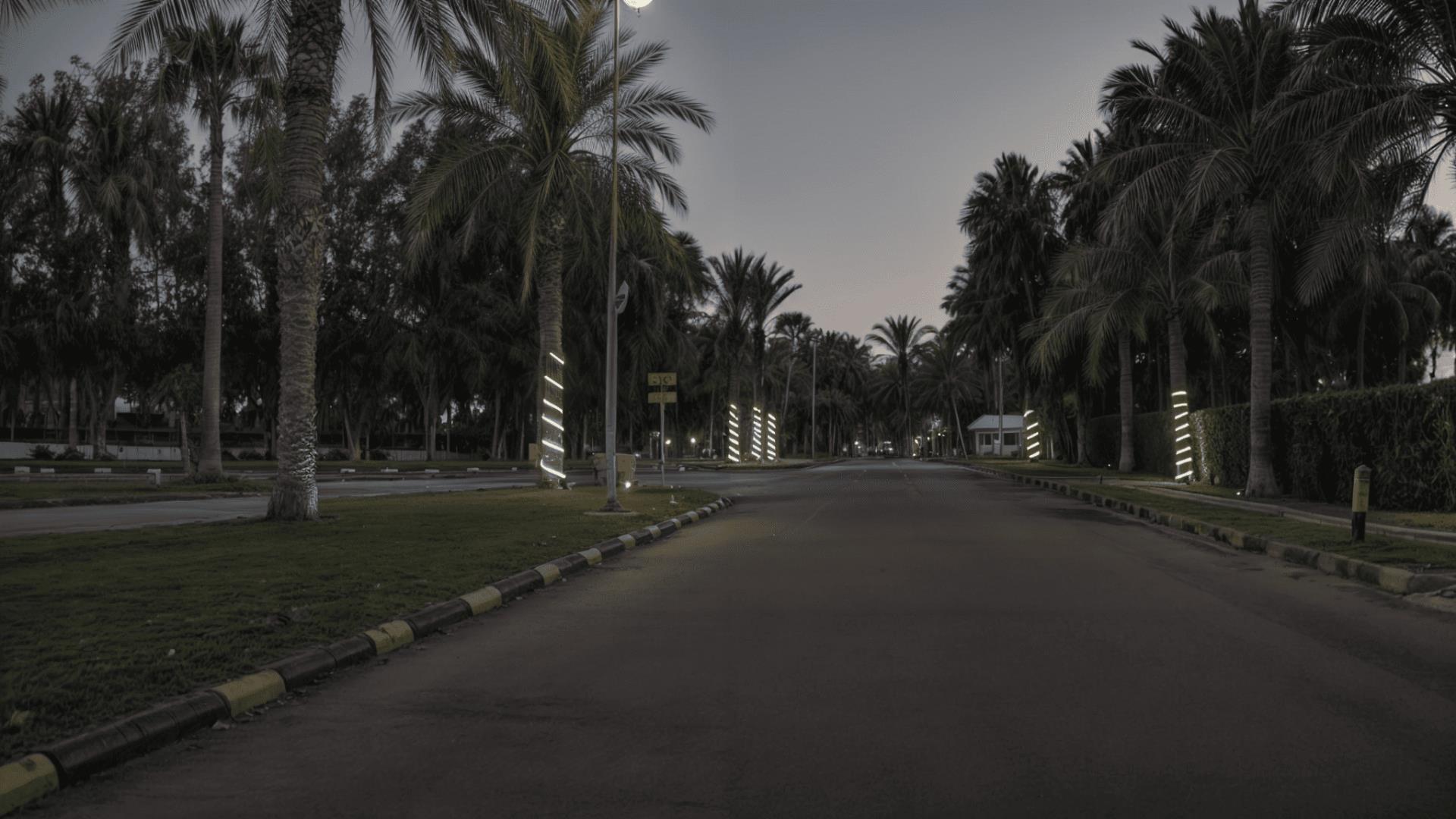 palm beach resort