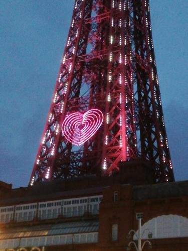 the osprey guest house