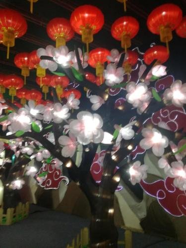 the osprey guest house