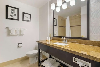 country inn and suites by radisson tampa airport north fl