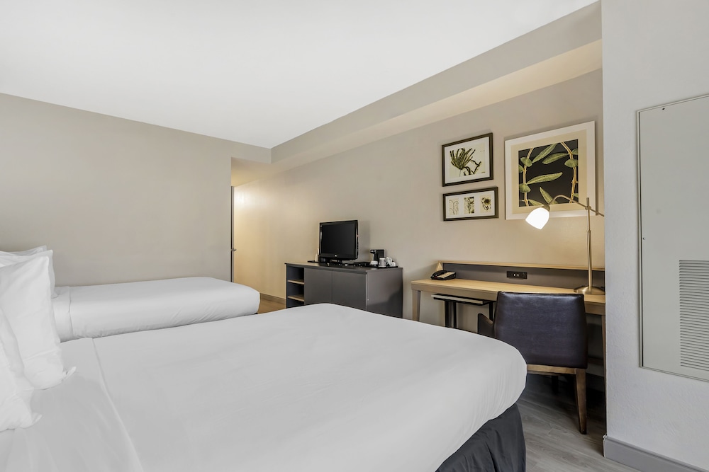 country inn and suites by radisson tampa airport north fl