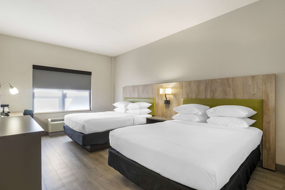 country inn and suites by radisson tampa airport north fl