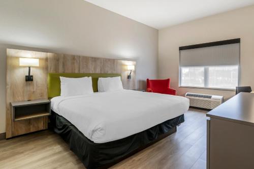 country inn and suites by radisson tampa airport north fl