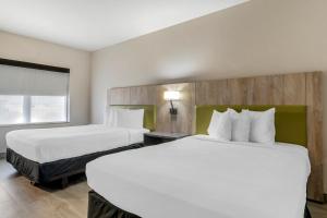 country inn and suites by radisson tampa airport north fl