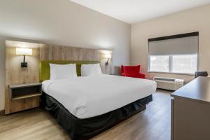 country inn and suites by radisson tampa airport north fl