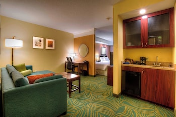 springhill suites by marriott tampa brandon