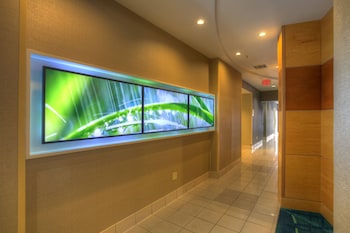 springhill suites by marriott tampa brandon