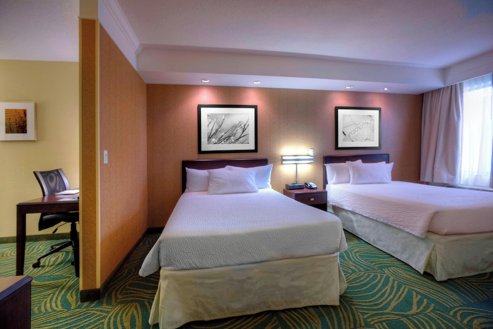 springhill suites by marriott tampa brandon