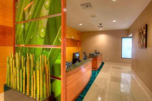 springhill suites by marriott tampa brandon