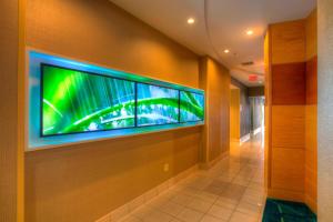 springhill suites by marriott tampa brandon