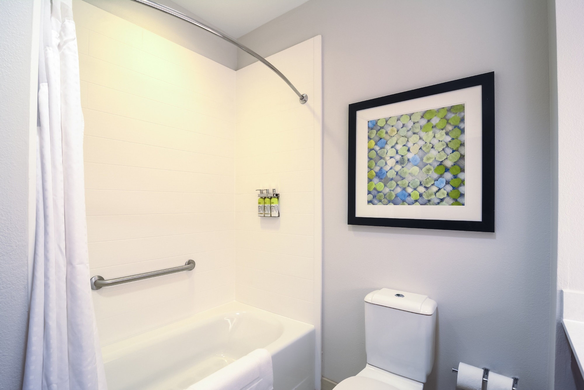 holiday inn express and suites tampa usf busch gardens