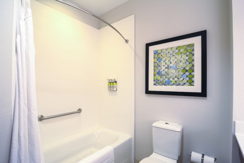 holiday inn express and suites tampa usf busch gardens