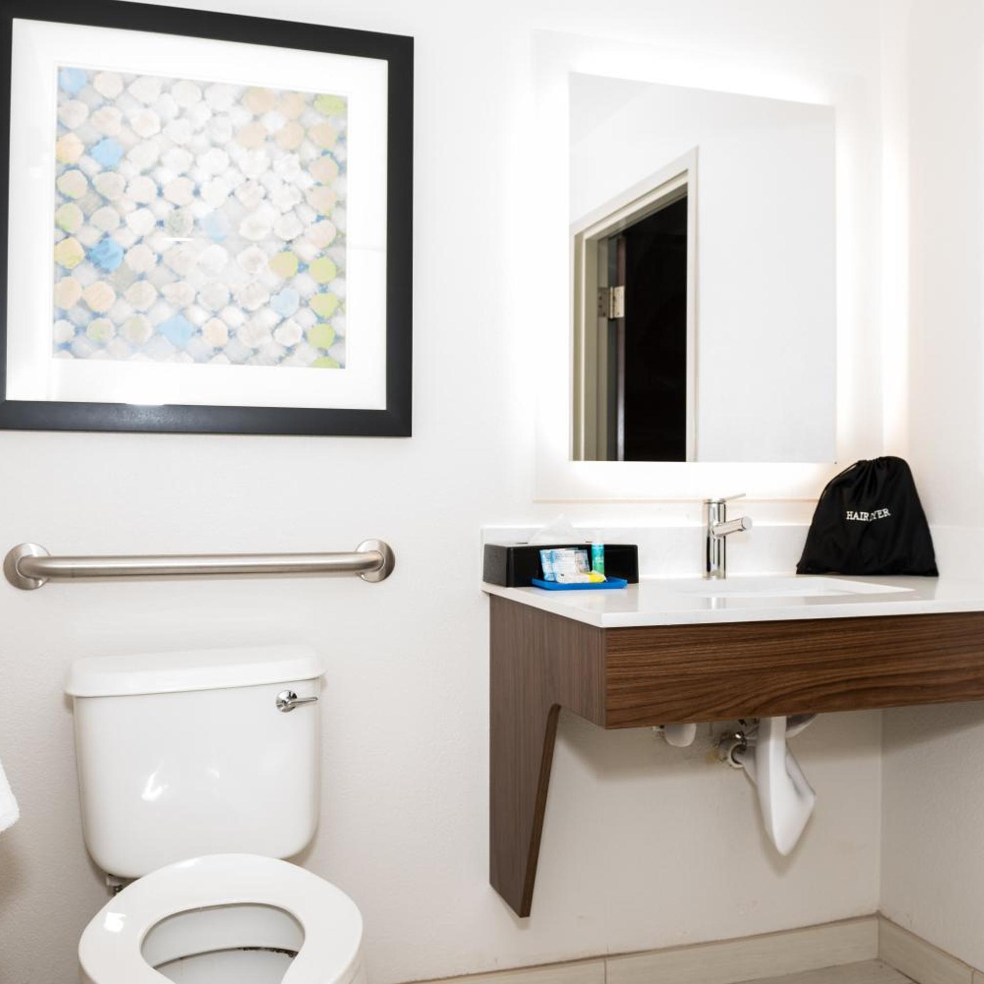 holiday inn express and suites tampa usf busch gardens