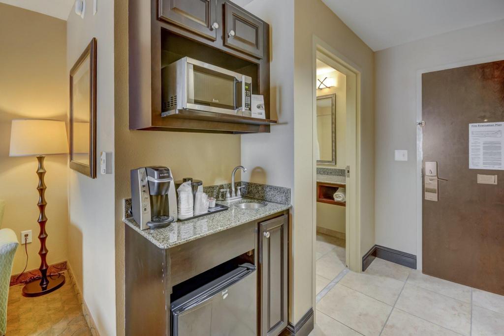 holiday inn express and suites tampa usf busch gardens