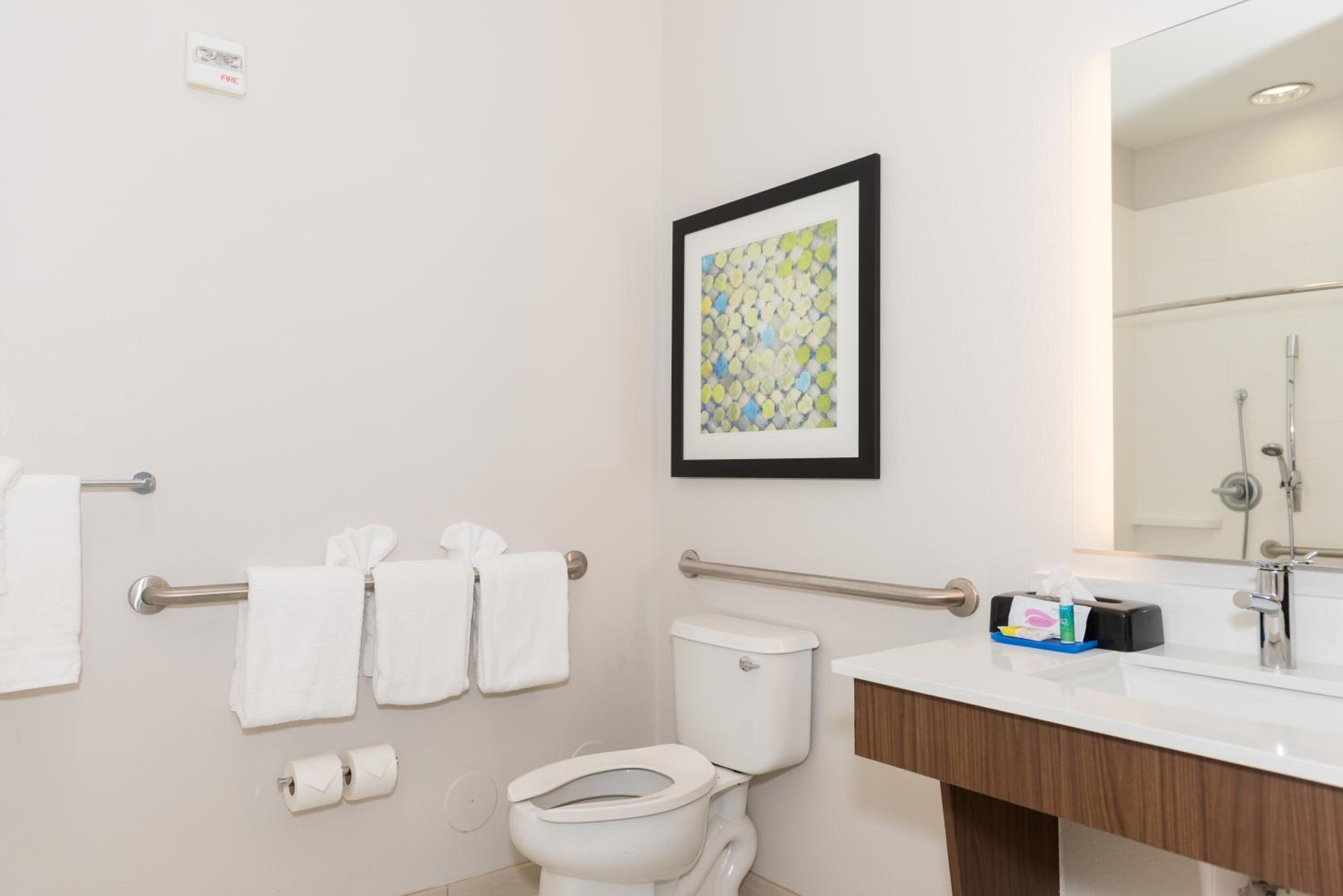 holiday inn express and suites tampa usf busch gardens