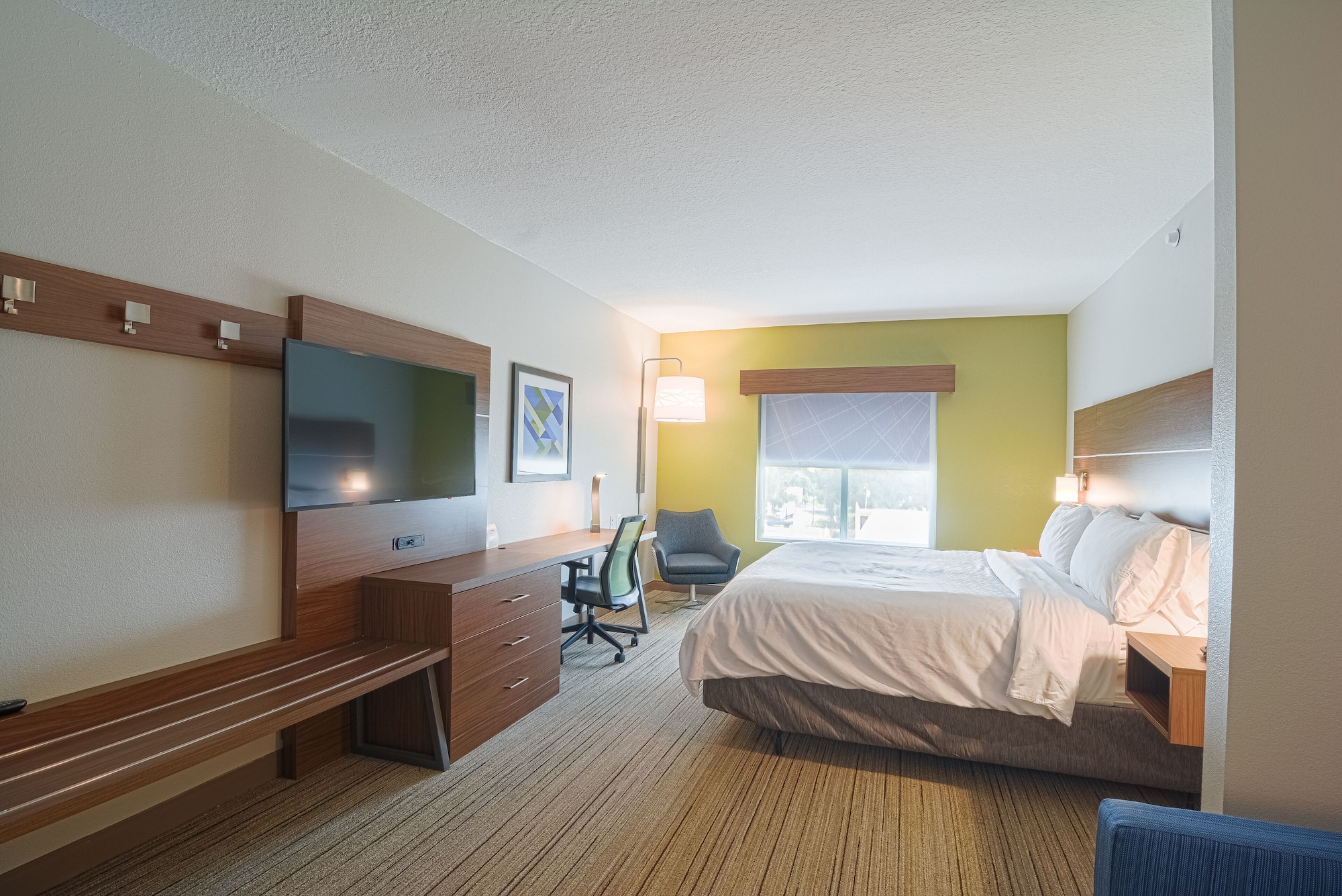 holiday inn express and suites tampa usf busch gardens