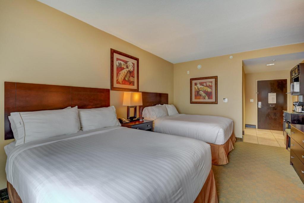 holiday inn express and suites tampa usf busch gardens