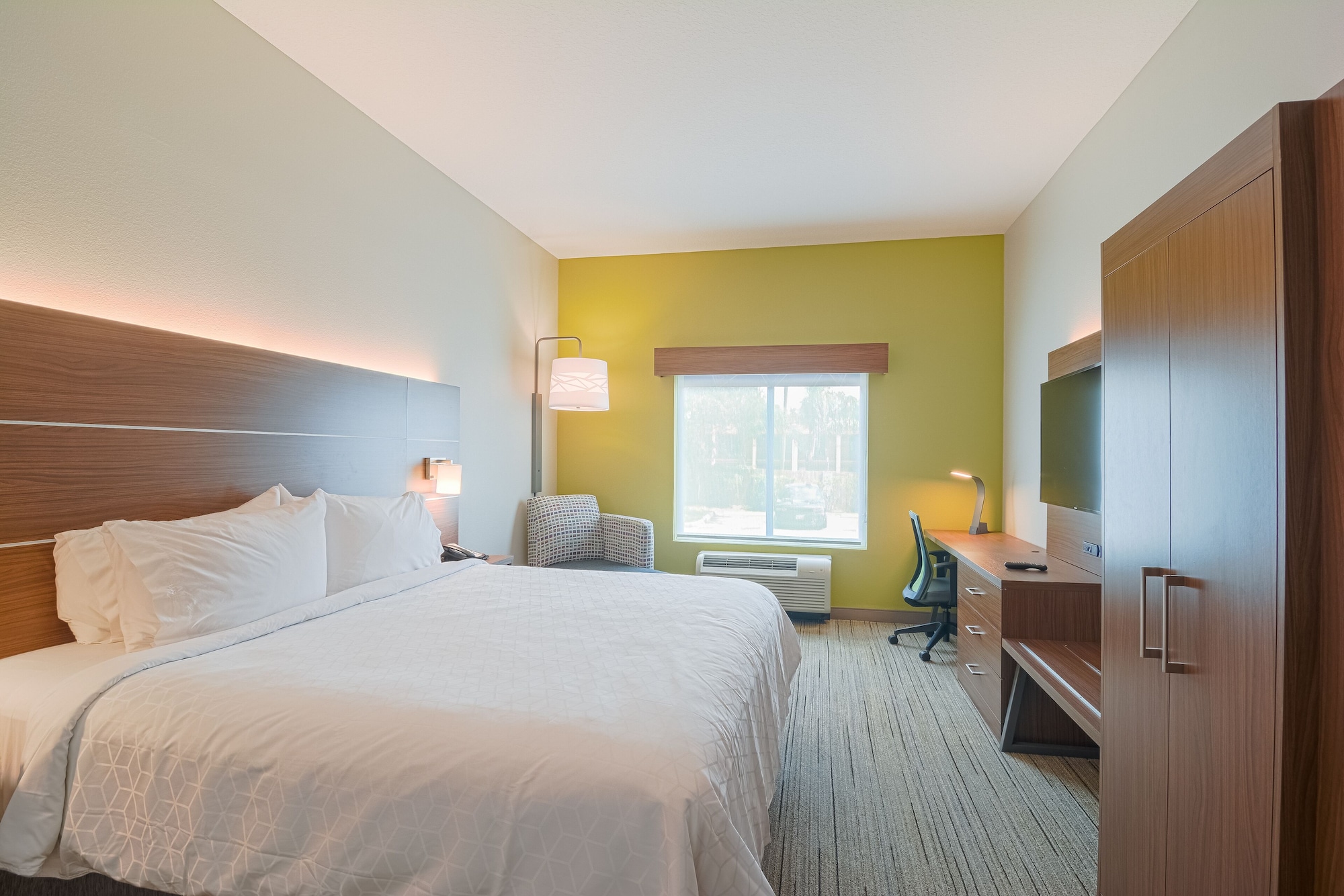 holiday inn express and suites tampa usf busch gardens