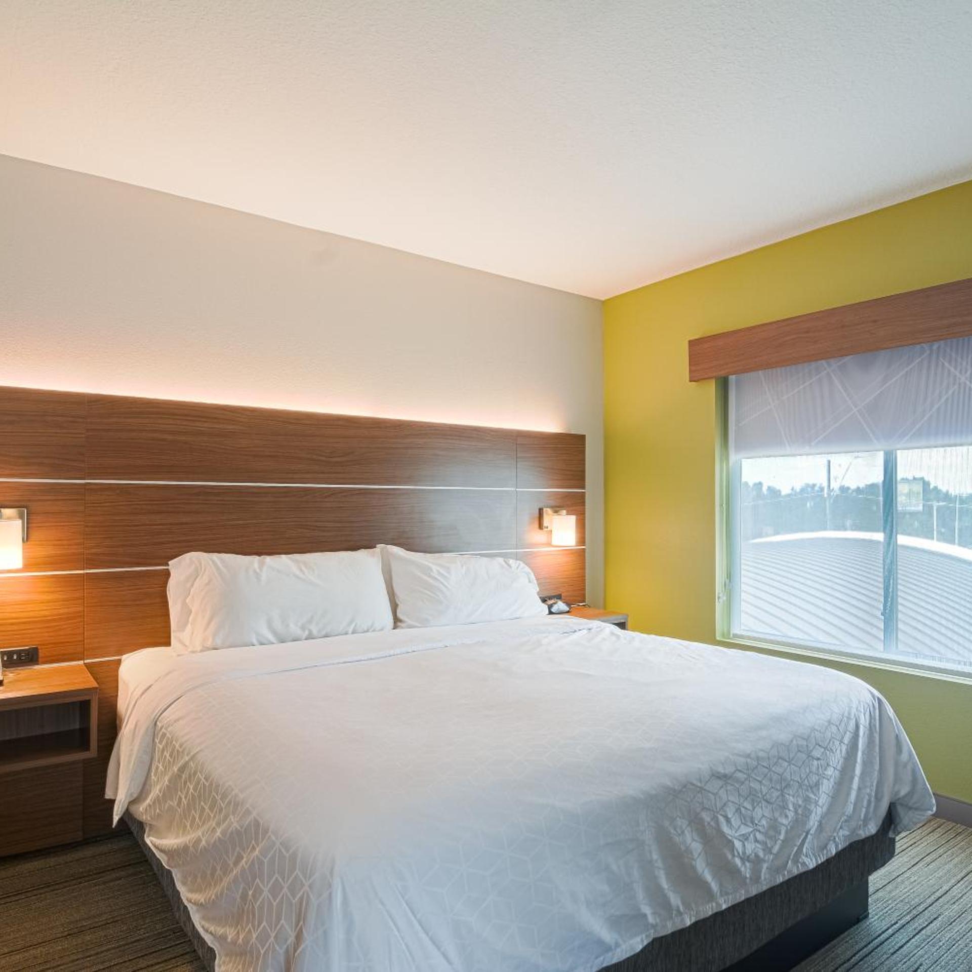 holiday inn express and suites tampa usf busch gardens