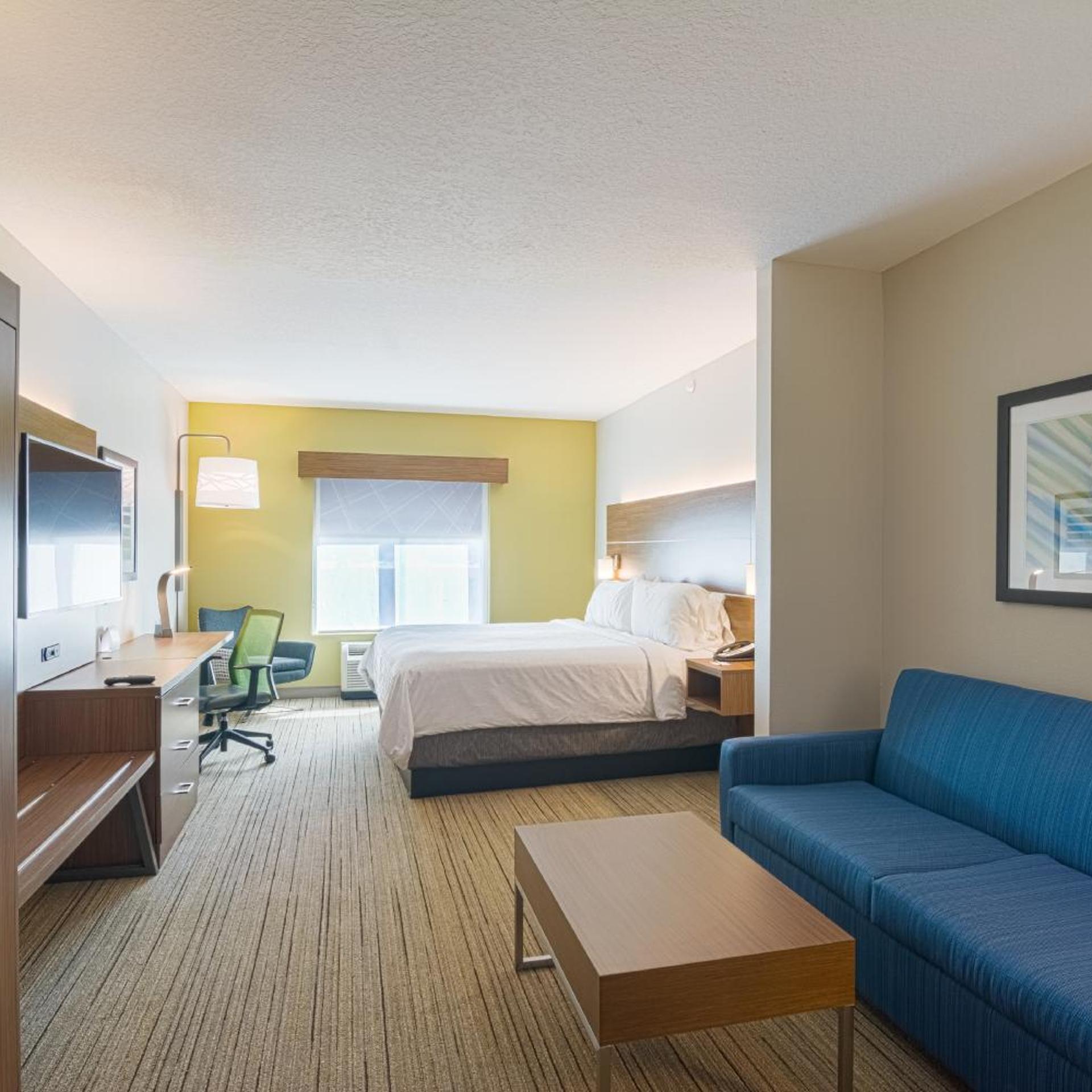 holiday inn express and suites tampa usf busch gardens