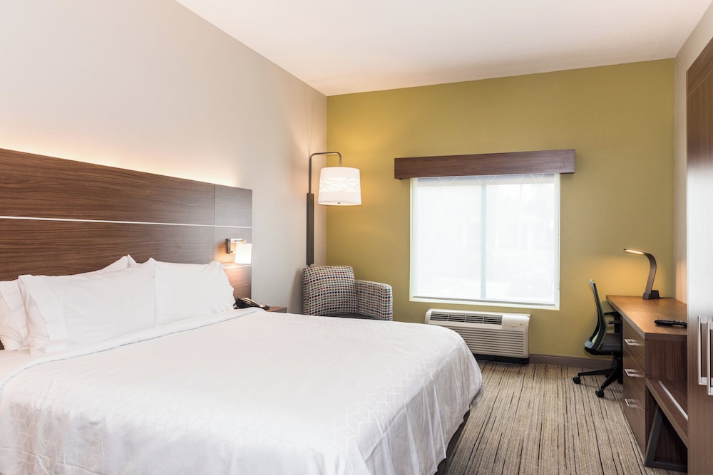 holiday inn express and suites tampa usf busch gardens