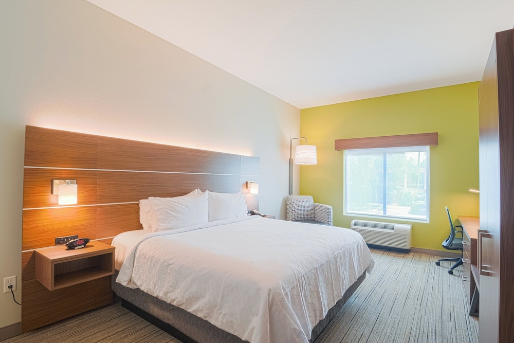 holiday inn express and suites tampa usf busch gardens