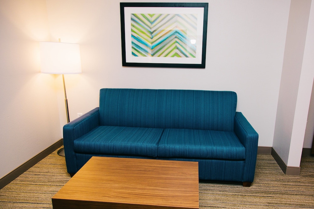 holiday inn express and suites tampa usf busch gardens