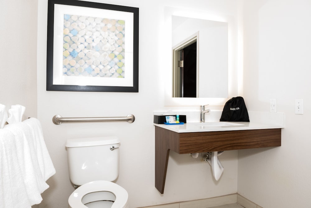 holiday inn express and suites tampa usf busch gardens