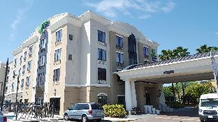 holiday inn express and suites tampa usf busch gardens