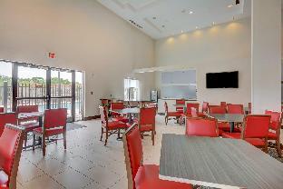 holiday inn express and suites tampa usf busch gardens