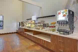 holiday inn express and suites tampa usf busch gardens