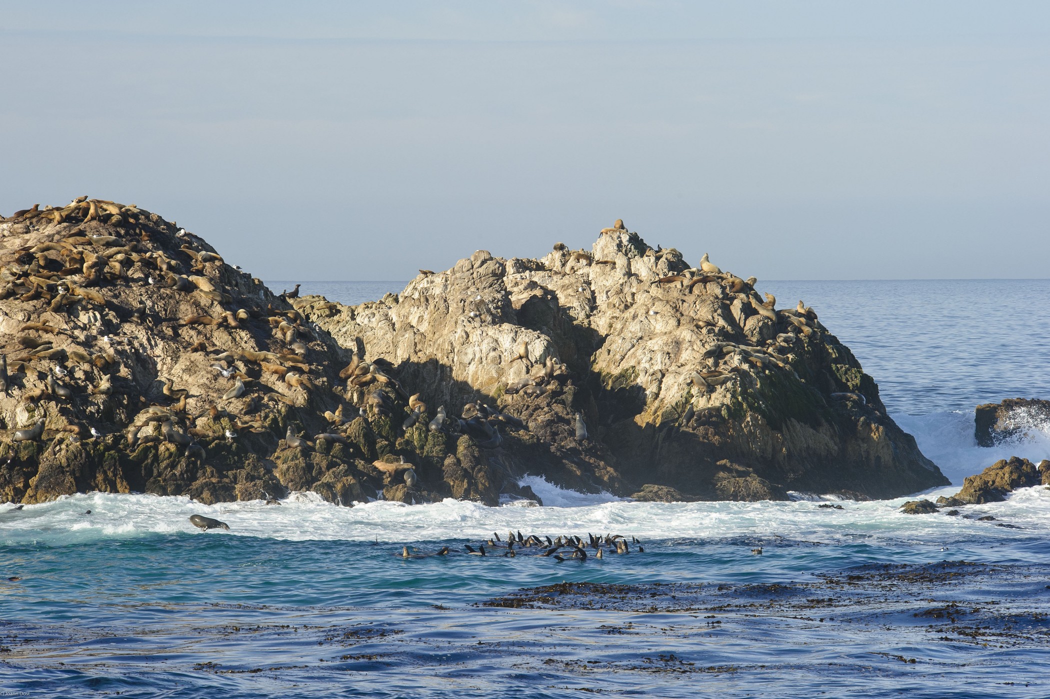 pebble beach