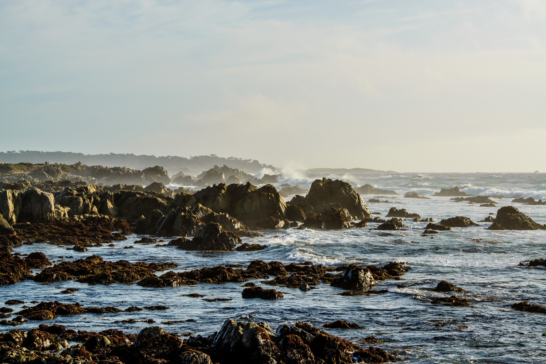 pebble beach