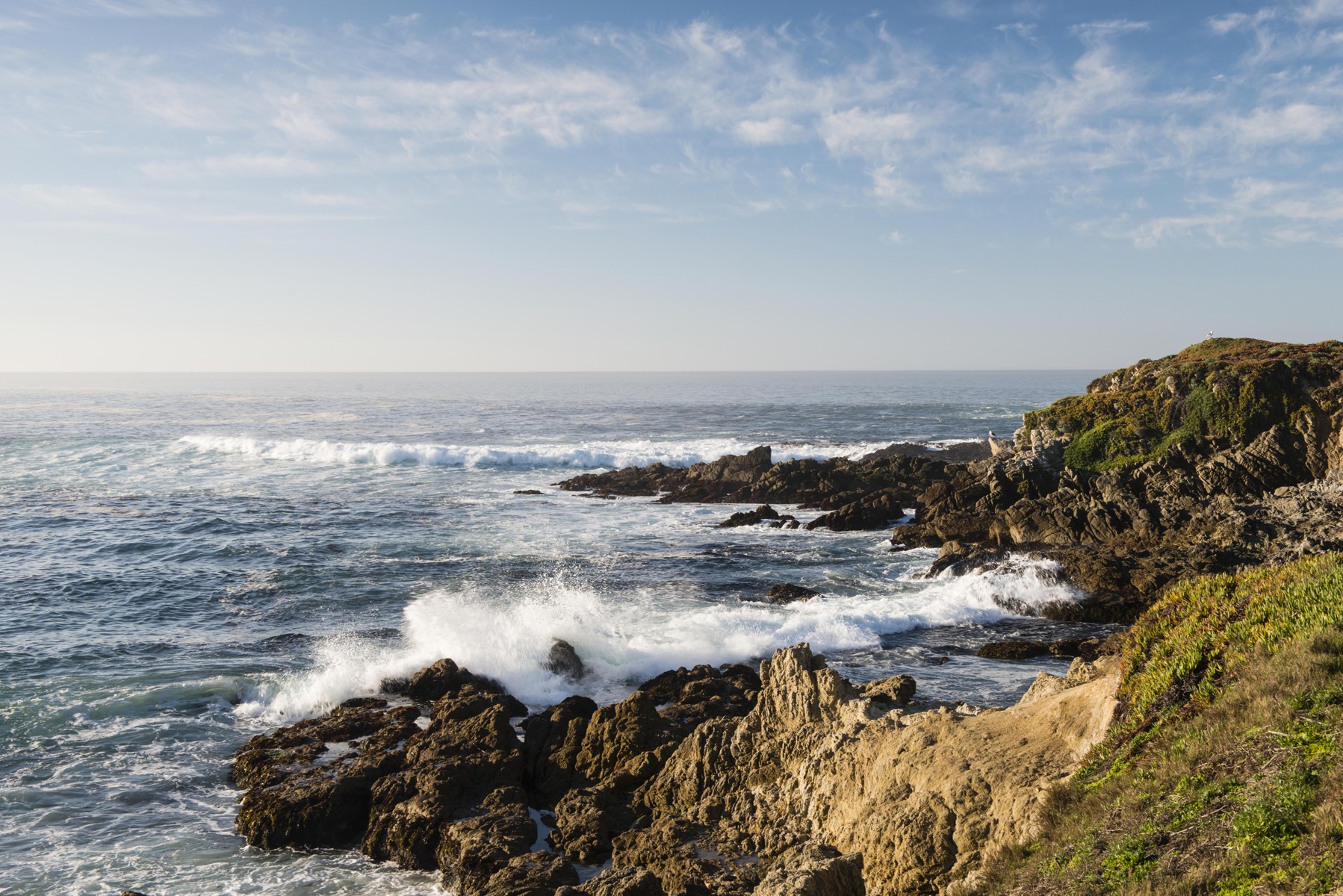 pebble beach