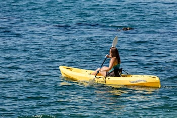 terranea resort