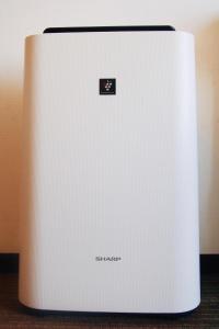 sotetsu fresa inn hamamatsucho daimon