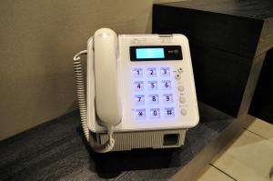 sotetsu fresa inn hamamatsucho daimon