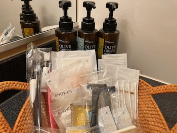 bayside hotel azur takeshiba hamamatsucho