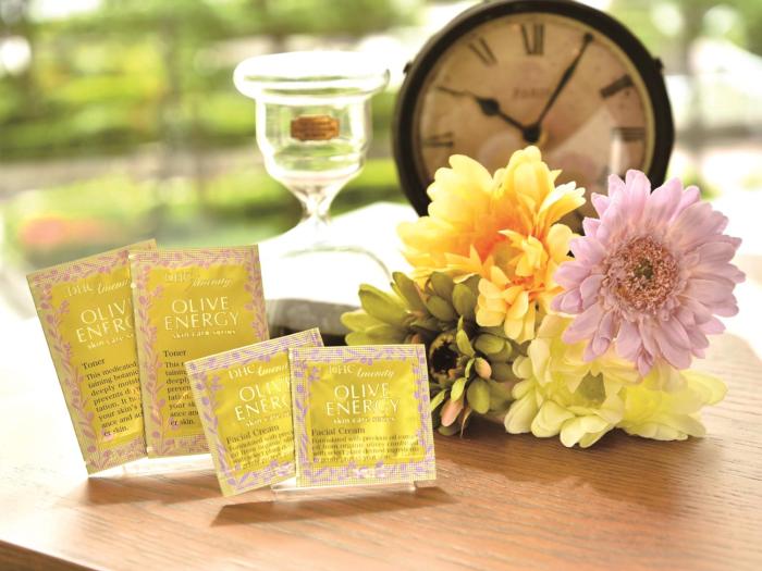 bayside hotel azur takeshiba hamamatsucho