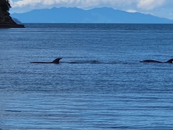 whangaparaoa lodge motel