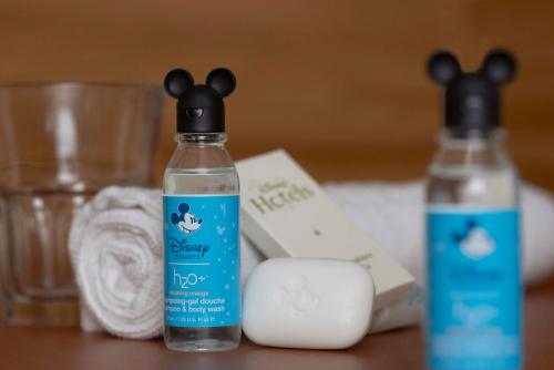 disneys davy crockett ranch